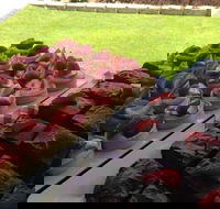 That Food Truck - Click Find