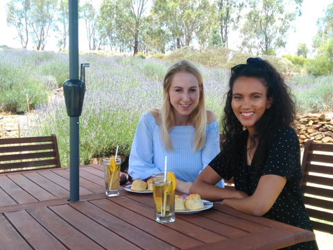 Lyndoch Lavender Farm Cafe - Click Find 1