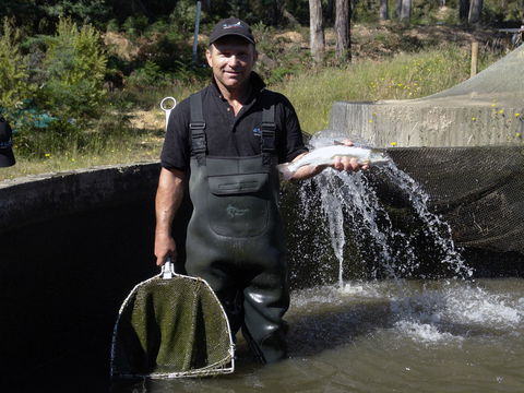 41 Degrees South Tasmania - Click Find 0
