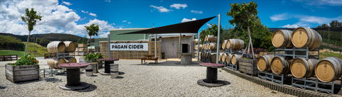 Pagan Cider - Click Find 0