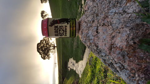 Black Dog Brewery - Click Find 2