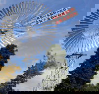 Bearded Dragon Hotel - Click Find