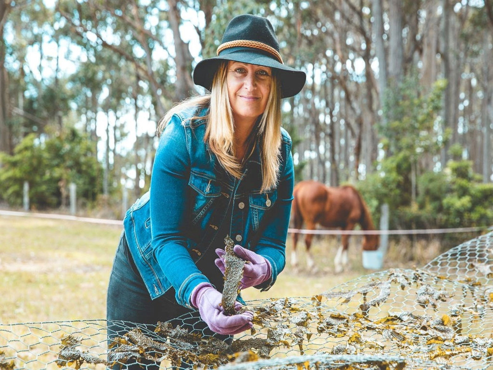 Mystery Bay NSW Bet 4u