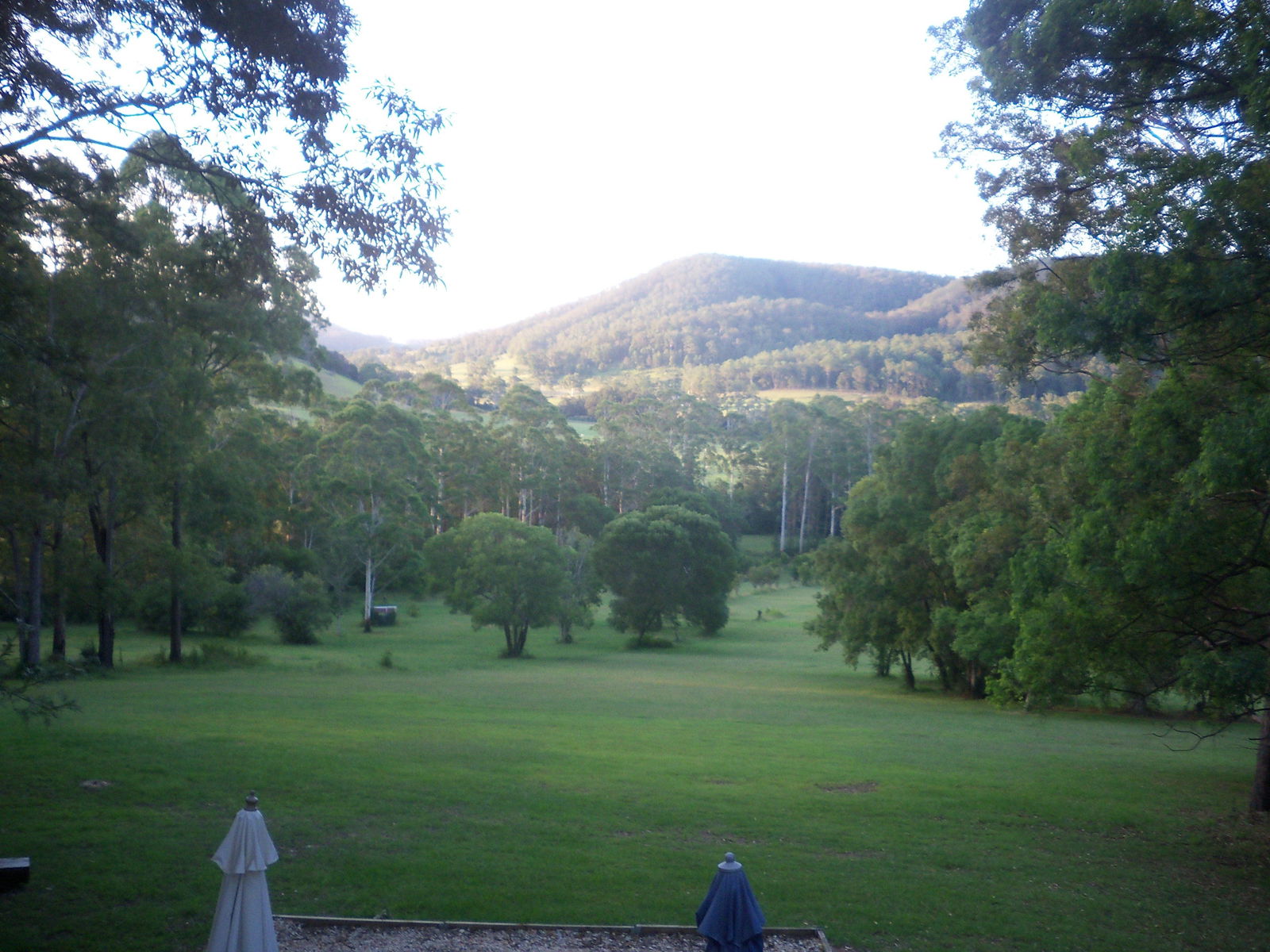Byabarra NSW Bet 4u