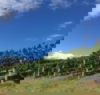 Freycinet Vineyard - Click Find