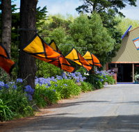Oakdene Vineyards and Cellar Door - DBD