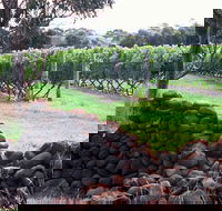Spring Vale Vineyard - Lavinia