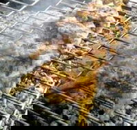 Brisbane Portuguese Family Centre - Bet 4u