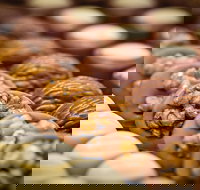 Challys Bar and Bistro - Bet 4u