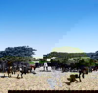 Hillock Downs Produce Store