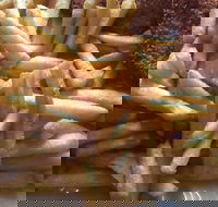 Fish Food with a Difference - Click Find