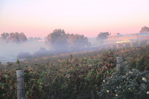 Sittella Winery & Restaurant - Bet 4u 1