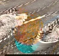 Blue Door - Click Find