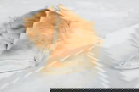 Latin Foods and Wines