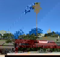 The Vine Hotel North Wangaratta - Click Find