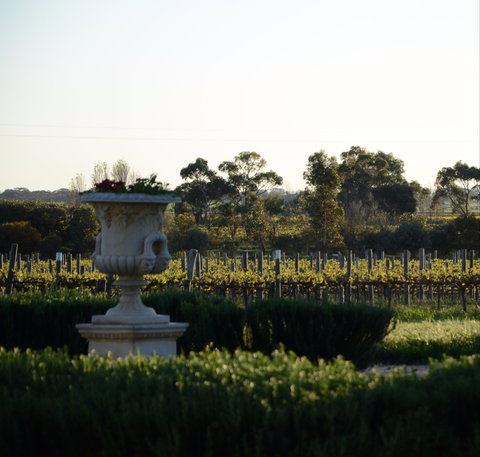 Angas Plains Wines Cellar Door - Lawyer Find 1