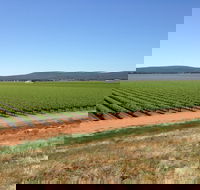 Melange Wines - Bet 4u