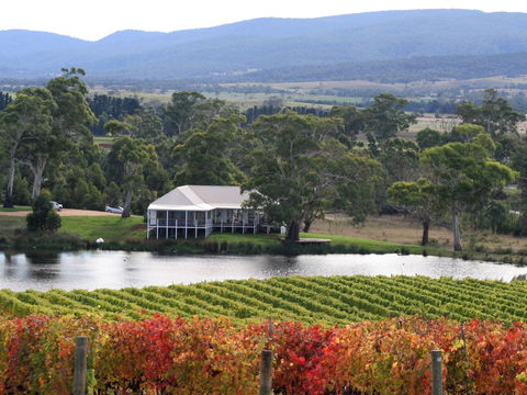 Milton Vineyard - DBD 0