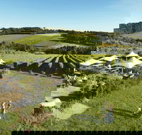 Montalto - Bridge Guide