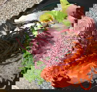 Cafe Rhubaba - Bet 4u