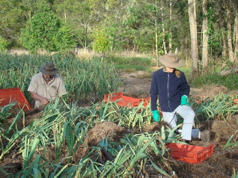 Sweet Water Farm - Click Find 0