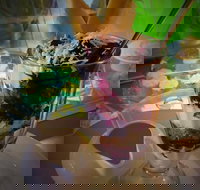 Cafe One58 - Lawyer Find