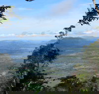 Platypus Lodge Restaurant and Cafe - Bet 4u