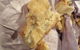 Taylors Lakes Fish & Chips - thumb 0