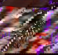 The Lounge - Bridge Guide