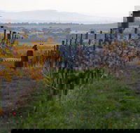 Barwon Ridge Wines - Click Find