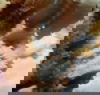 Captain Roc's - Click Find