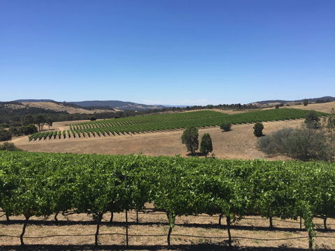 Peerick Vineyard And Winery - Click Find 0