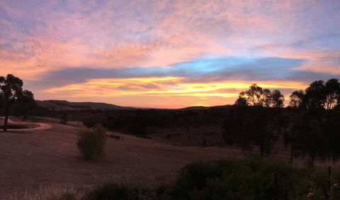 Peerick Vineyard And Winery - Click Find 1