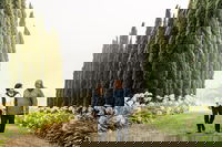 Pietro Gallo Estate - Olivigna Restaurant