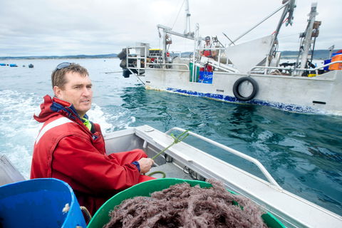 Peninsula Fresh Seafood - Click Find 0