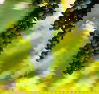 Garden  Field Wines - Click Find