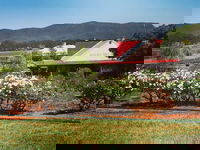 Hanging Tree Wines
