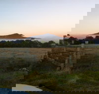 Mountainside Wines - Bet 4u