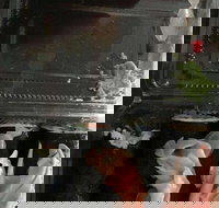 Sushi Station - Click Find