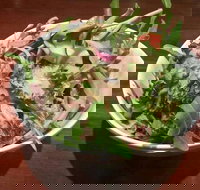 Nagisa Japanese Restaurant - Click Find