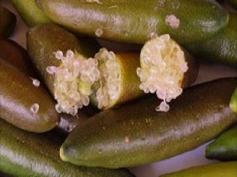 Sandy Creek Olives And Finger Limes - Click Find 0