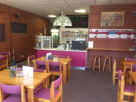 Sycamore Tree Coffee Shop - DBD 0