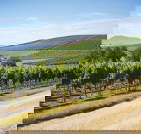 Jansz Tasmania - Click Find