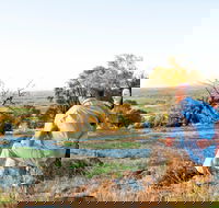 Paisley Wines - Click Find