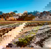 Synchronicity Farm - Click Find