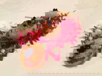 Bellbrae Harvest Restaurant