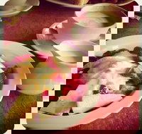 D'Lights Cafe - Lawyer Find