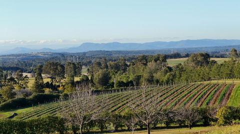 Grapevines Boutique Accommodation - Click Find 21
