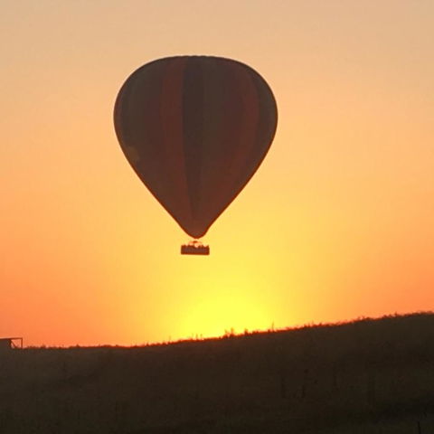 Grapevines Boutique Accommodation - Click Find 13