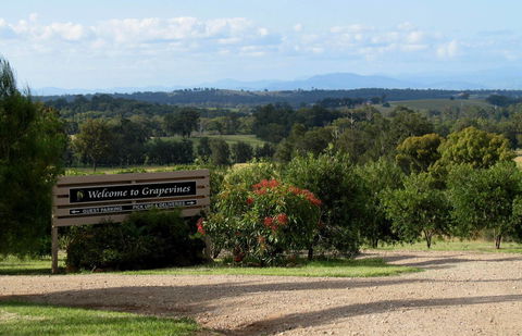 Grapevines Boutique Accommodation - Click Find 15